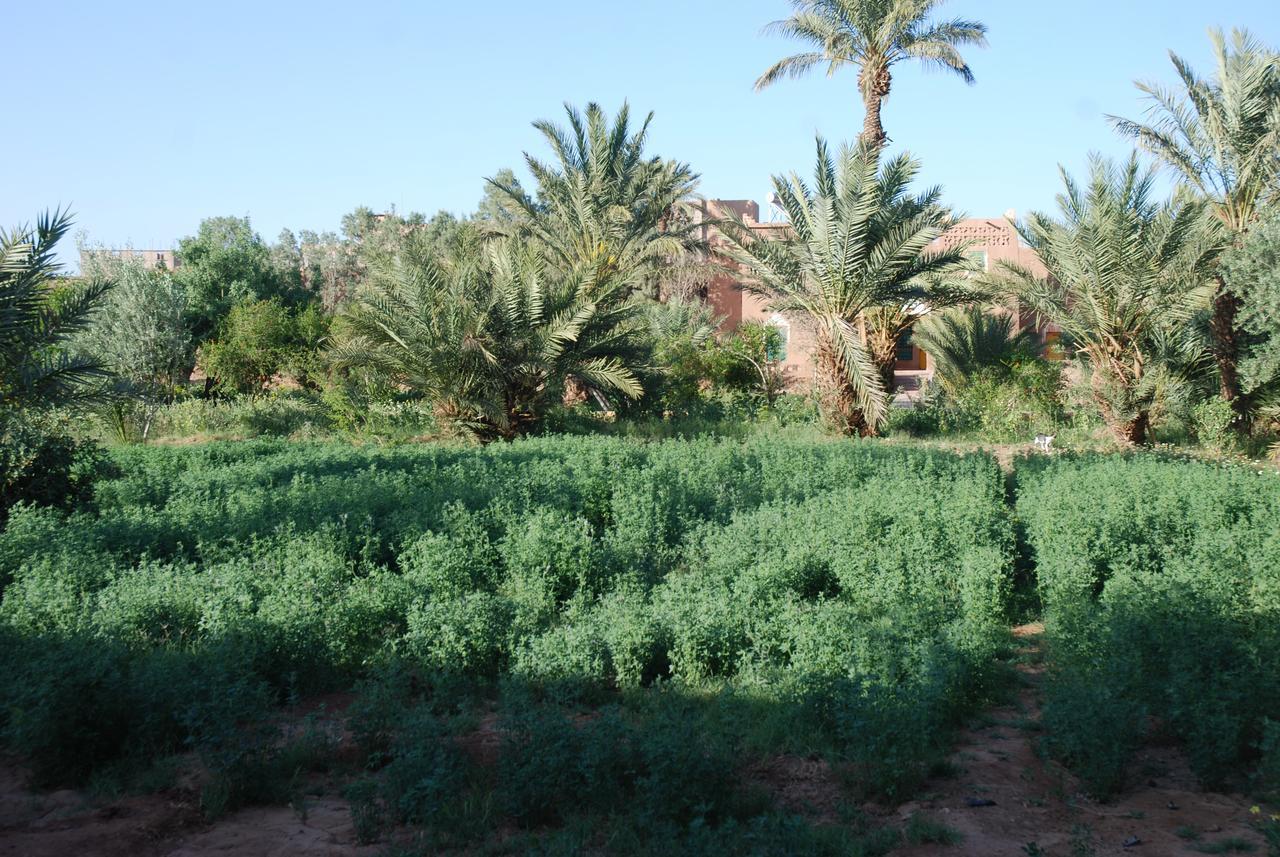 D'Hote Jnane-Dar Diafa Tamgrout Exterior photo