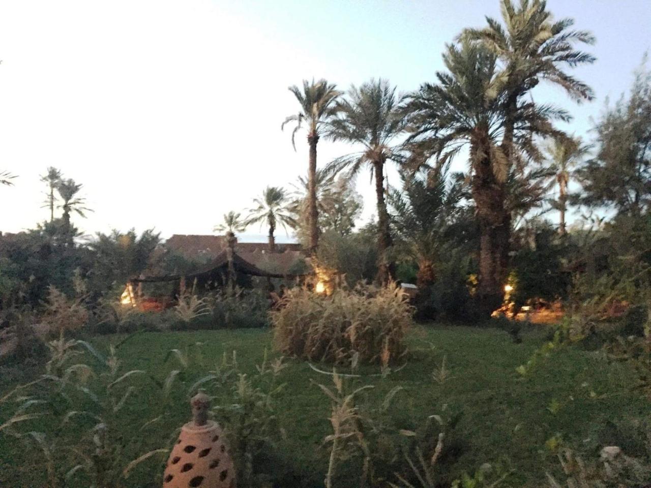 D'Hote Jnane-Dar Diafa Tamgrout Exterior photo
